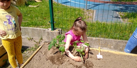 warzywne-ogrodki-przedszkolne-5254.jpg